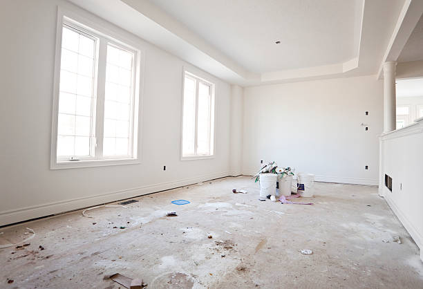Best Mold Damage Restoration  in Jeffersonville, KY