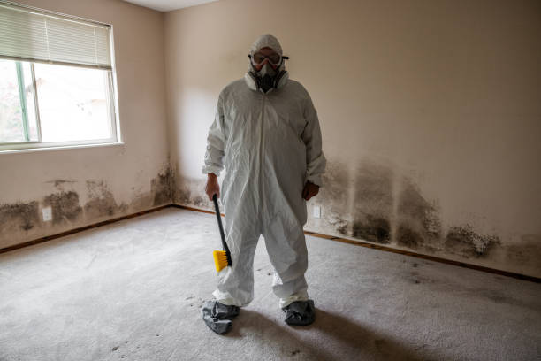 Best Industrial Mold Remediation  in Jeffersonville, KY